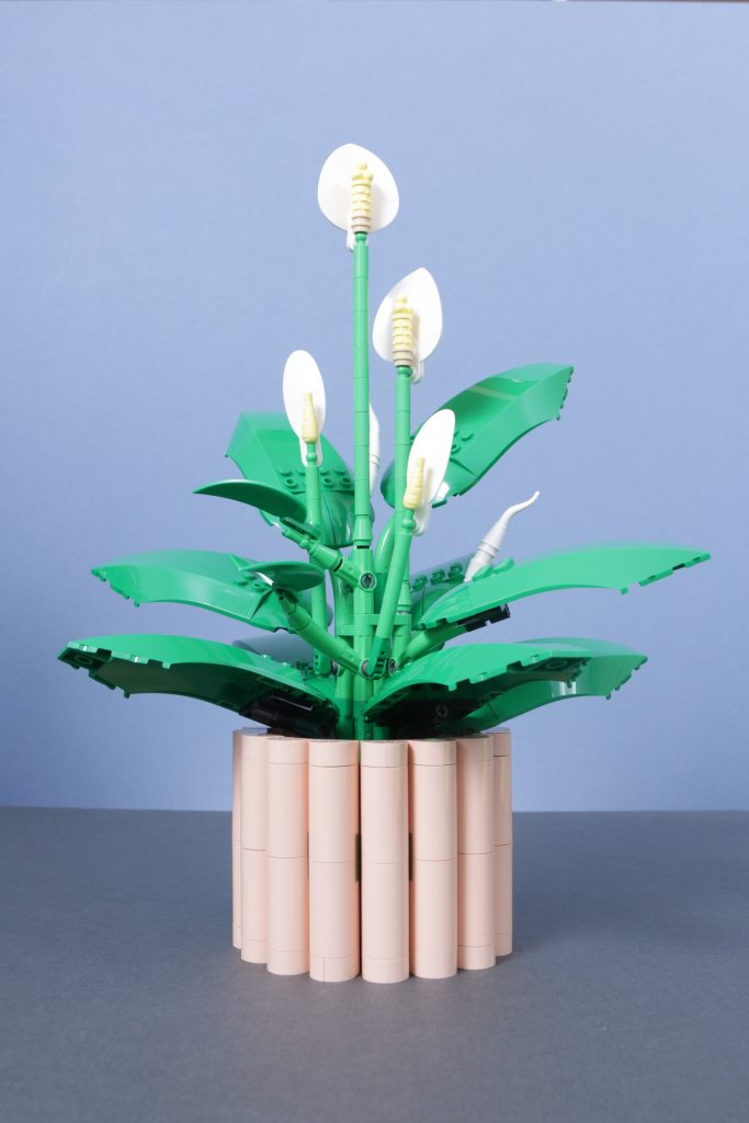 LEGO Botanicals 11501 Tulip Bouquet 11509 Flowering Cactus 11508 Daisies 11504 Peace Lily review 20 683x1024