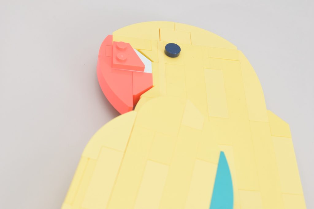 LEGO Art 31211 Macaw Parrots review 15 1024x683
