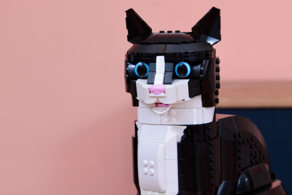 LEGO Ideas 21349 Tuxedo Cat review 18 1024x683
