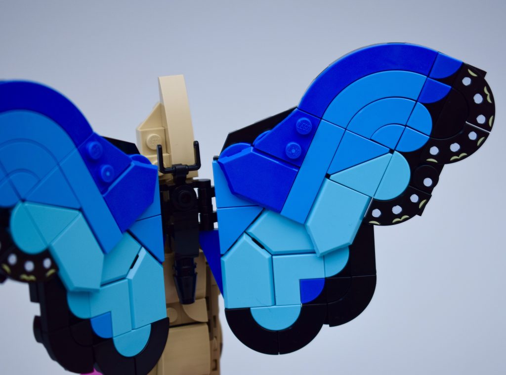 LEGO Ideas 21342 The Insects Collection Review 66 1024x760