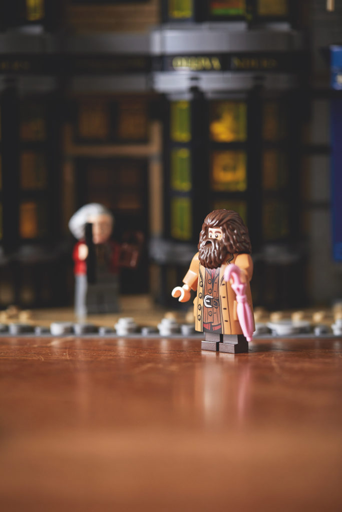 75978 Diagon Alley LEGO Harry Potter lifestyle resized 4