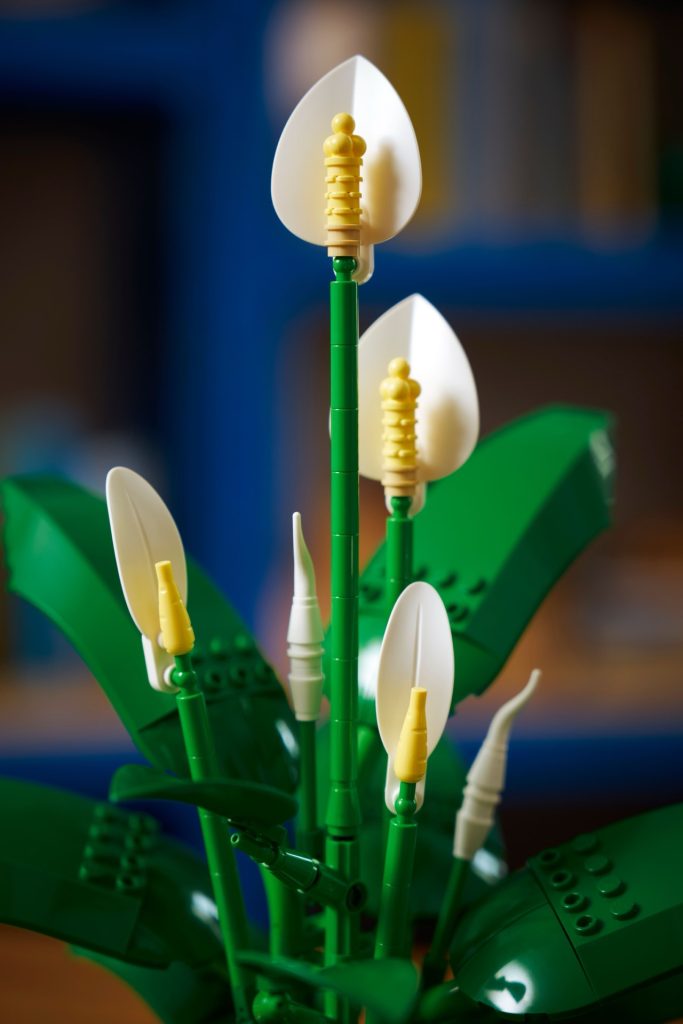 LEGO Botanicals 11504 Peace Lily 11 683x1024